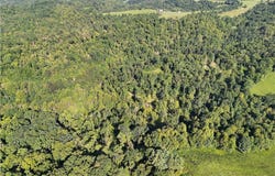 Crum Ridge Rd, Caldwell, OH 43724