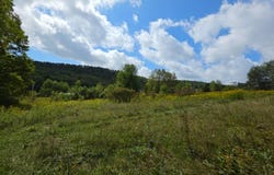 1418 County Rd 16, Smyrna, NY 13832