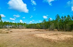 35 Thompson Lane, Carriere, MS 39426