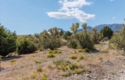 52 Birch Spring Road, Cold Creek, NV 89124