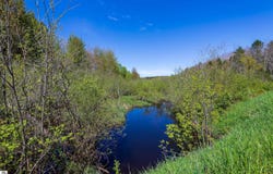 Makinen Road, Kaleva, MI 49645