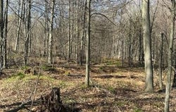 Parc 031 Glory Ridge Road, Shunk, PA 17768