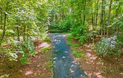 15/16 Willow Wind Heights, Franklin, NC 28734
