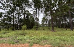 165 Creekside Way, Metter, GA 30439