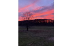 13115 Falcon Road, Neosho, MO 64850