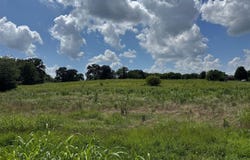 2009 Hardison Road, Woodburn, KY 42170