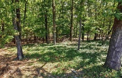 835 Sugar Maple Drive, Heber Springs, AR 72543