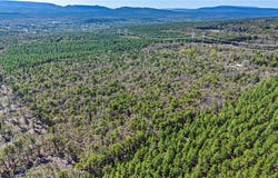 RIVER MTN Road lot: 0, Delaware, AR 72835