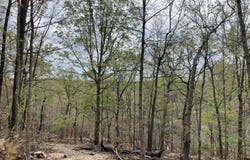 St. Hwy N Tract D, Ava, MO 65608