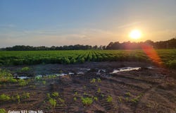 Masonville Road, McGehee, AR 71654