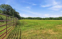 796 Juniper Rd, Big Sandy, TX 75755