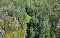 1746 SZ Road, Arnold, MI 49819
