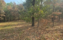 619 Walker Mtn. RD, Booneville, AR 72927