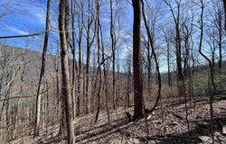 BEECH GROVE RD, ROSELAND, VA 22967