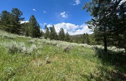 416 Comanche Cir, Red Feather Lakes, CO 80545