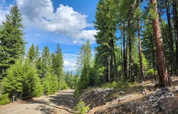 107 Mountain Road, Plains, MT 59859