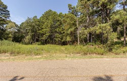 VALLEY VIEW, Frankston, TX 75763