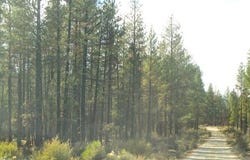 Pheasant Lane, Chiloquin, OR 97624