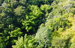 Angeles, Utuado, PR 00641
