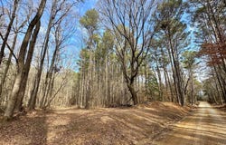 5 Scarborough Road, Carthage, MS 39051