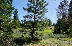 1034 Great Spirit lot: 406, Portola, CA 96122