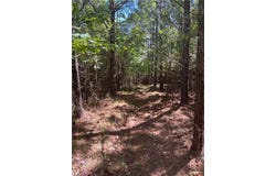 Palmer Road, Westfield, NC 27053