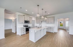 736 Tremont, Newton, AL 36352