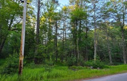 Old Tacy Road lot: 303, Bethel, NY 12720