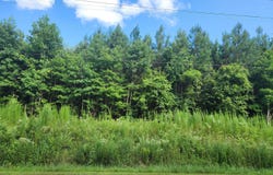 Us-158 Bus, Gatesville, NC 27938