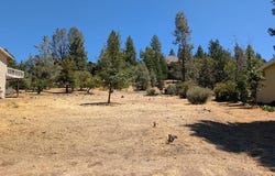 773 Dogwood DR, MURPHYS, CA 95247
