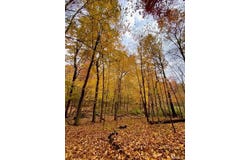 5555 Mast Road, Webster Twp, MI 48130