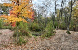 W10730 Sand Creek Court, Merrillan, WI 54754