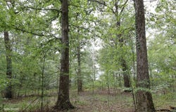 CANNAL RD., Winnsboro, LA 71295