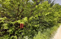 Summit Road, Mount Holly, VT 05758
