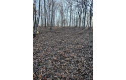 000 Moonshine Pass, Salem, MO 65560