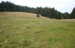 Berta Road, Eureka, CA 95503