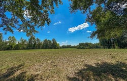 0 Hwy 10 E, Pine Apple, AL 36768