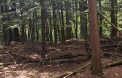 STAEHLING RD lot: 2, Three Lakes, WI 54562