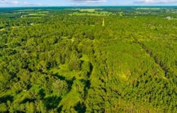 Fort Meade, FL 33841