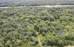 I-45 Highway, Buffalo, TX 75831