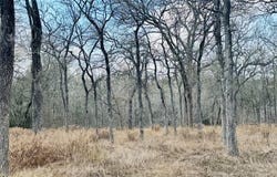 208 Sendero Blvd, Cedar Creek, TX 78612