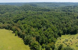 Carney Lane, Leon, WV 25123