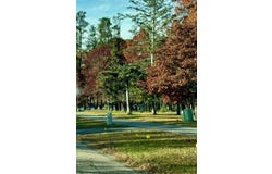 TBD Clearwater Road North, Baxter, MN 56425