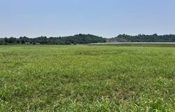 Gracie Lane, Pineville, MO 64856