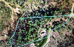2668 Reedy Branch Road, Purlear, NC 28665