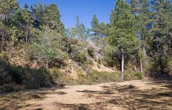 46109 Fish Rock Road, Gualala, CA 95445