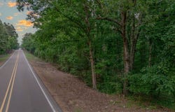 Morrow Rd, COURTLAND, MS 38620