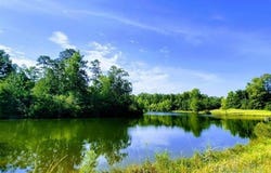 Hwy 17, Millry, AL 36558