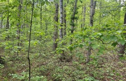 RT Davis, Spencer, TN 38585-5418