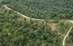 2561 Gutter RD, Harriet, AR 72639